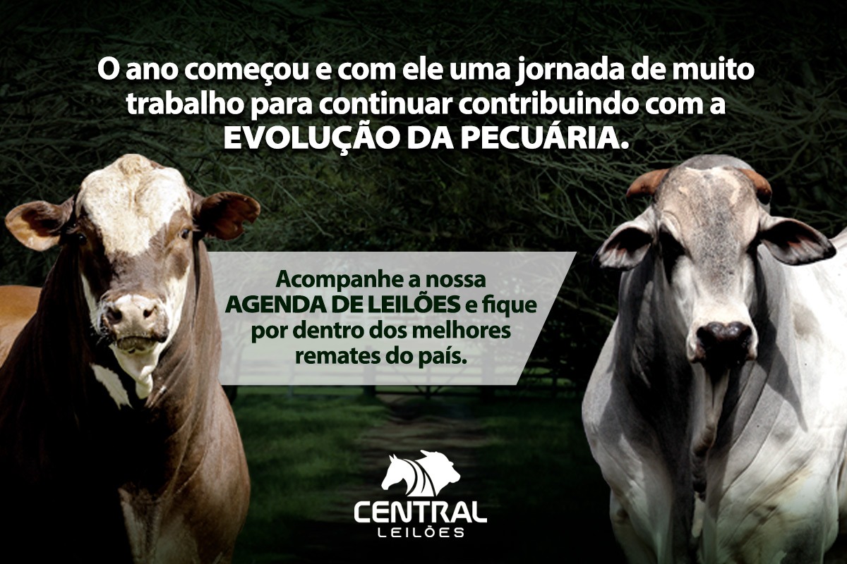 Central Leilões abre agenda 2023 com excelentes ofertas